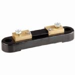 Heavy Duty Current Shunt 100A 50mV 