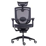 GTCHAIR GT107-35X Marrit Ergonomic Office/Gaming Chair - Black