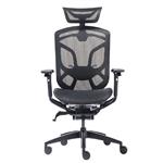 GTCHAIR DV-10E Dvary Ergonomic Office/Gaming Chair - Black