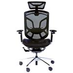 ONEX GT-DV-10E Dvary Ergonomic Office/Gaming Chair - Black/Silver