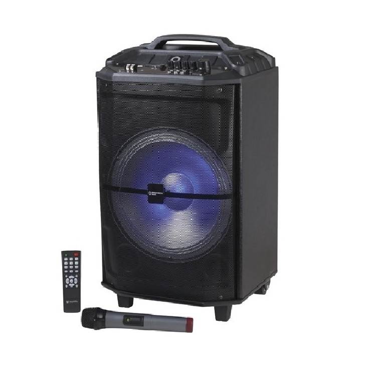 Digitech 12 Inch Party Speaker with UHF Microphone CS2492 Mwave