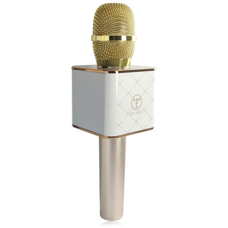 Tosing Q7 Portable Bluetooth Karaoke Microphone Gold tosingq7 Mwave