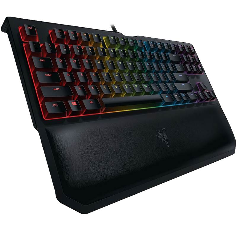 razer chrom keyboard tournment edition switchies dying