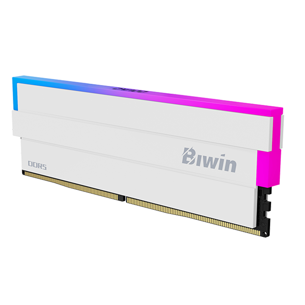 Biwin Black Opal DW100 RGB 32GB (2x 16GB) DDR5 6000MHz Desktop