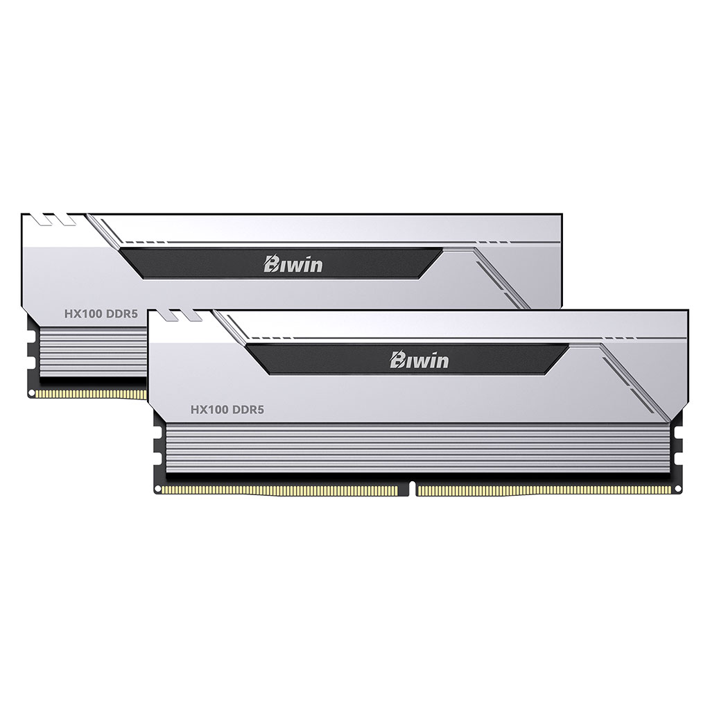 Biwin Black Opal HX100 32GB (2x 16GB) DDR5 6000MHz CL36 Desktop