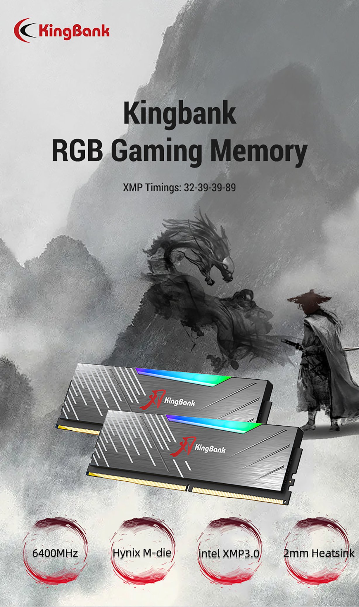 KingBank Dark Soarblade RGB 32GB DDR5 6400MHz Desktop Memory - Black