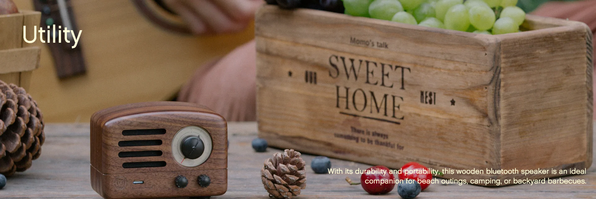 MUZEN OTR Wood Portable FM Radio Bluetooth Speaker - Rosewood