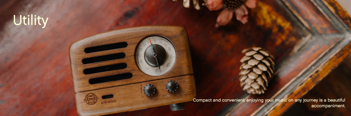 MUZEN OTR Wood Portable FM Radio Bluetooth Speaker - Rosewood