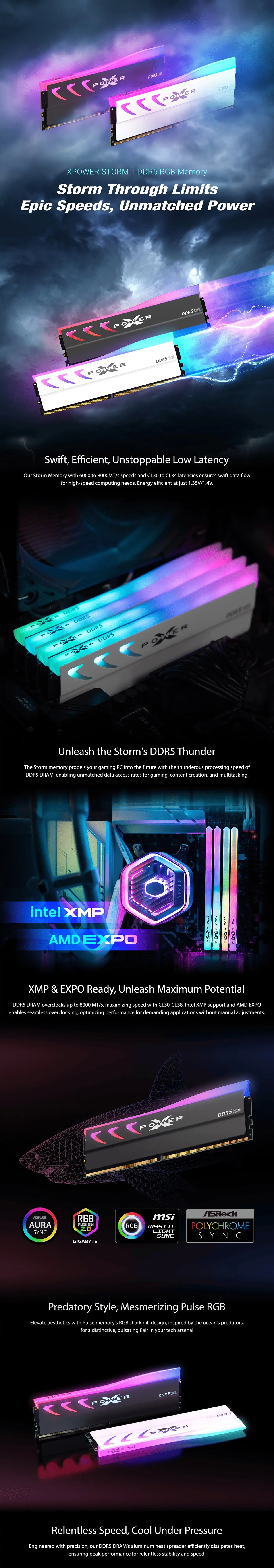 Silicon Power XPOWER Storm RGB 32GB (2x16GB) DDR5 6000MT/s CL36 Desktop Memory - Grey