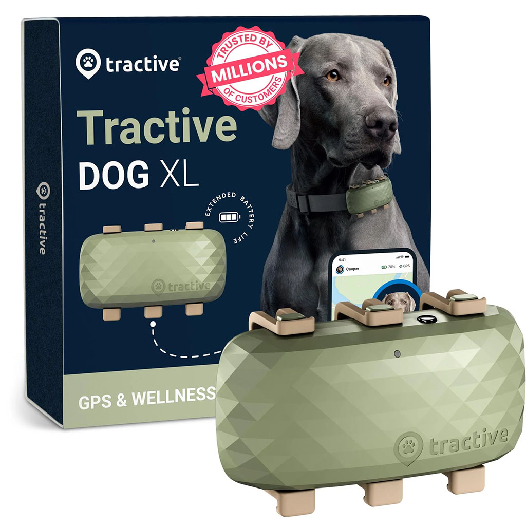 Tractive 6 XL Pet Smart GPS Tracker for Dogs - Green - 51647 | Mwave