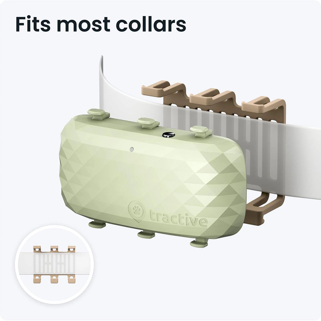 Tractive 6 XL Pet Smart GPS Tracker for Dogs - Green - 51647 | Mwave