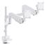 Infinity Dual Monitor Ergonomic & Style Heavy-Duty Gas Spring Dual ...