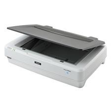 Epson Expression 13000XL Flatbed A3 Photo Scanner - 13000XL | Mwave